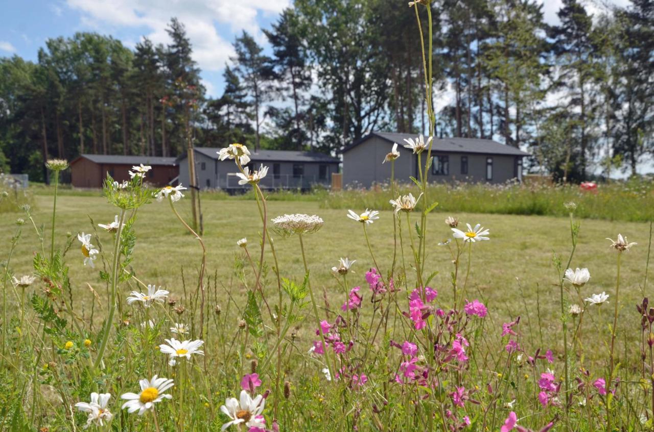 Hollicarrs - Sunflower Lodge York Kültér fotó